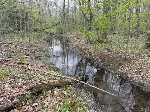 Youngs Road, Leon, NY 14726 photo 29