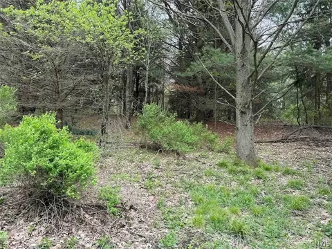 Youngs Road, Leon, NY 14726 photo 21