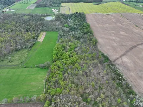 Youngs Road, Leon, NY 14726 photo 3
