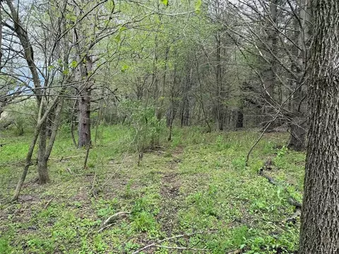 Youngs Road, Leon, NY 14726 photo 22