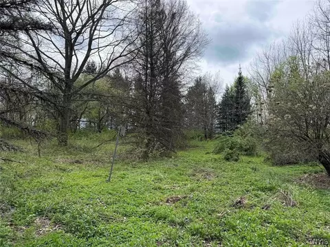 Youngs Road, Leon, NY 14726 photo 14