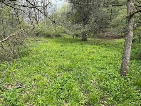 Youngs Road, Leon, NY 14726 photo 19