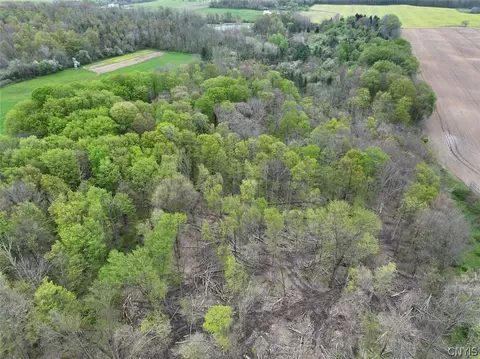 Youngs Road, Leon, NY 14726 photo 4