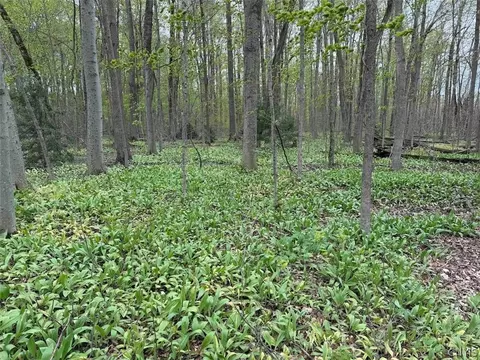 Youngs Road, Leon, NY 14726 photo 27