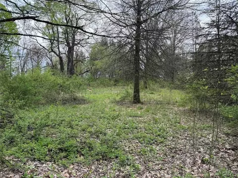 Youngs Road, Leon, NY 14726 photo 16