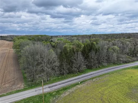 Youngs Road, Leon, NY 14726 photo 9