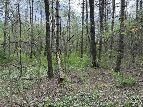 Youngs Road, Leon, NY 14726 photo 26