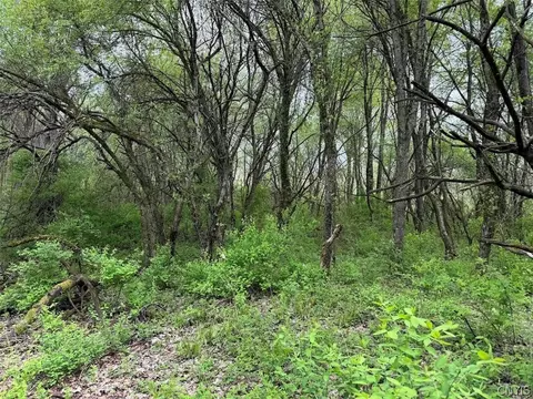 Youngs Road, Leon, NY 14726 photo 17