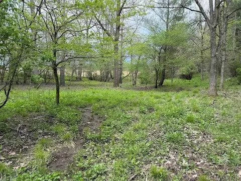 Youngs Road, Leon, NY 14726 photo 20