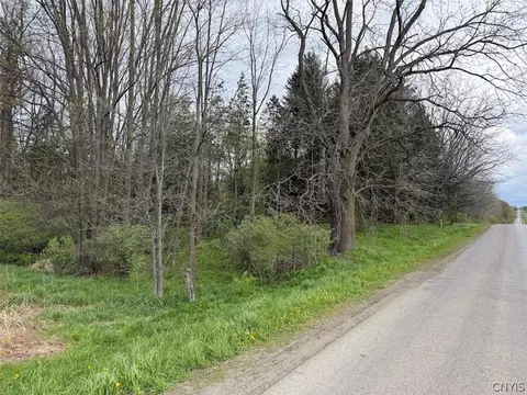 Youngs Road, Leon, NY 14726 photo 10