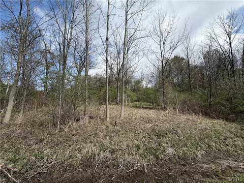 Rt-167, Warren, NY 13361