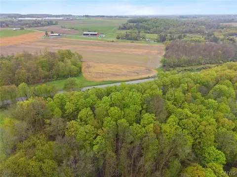 View/Area - 3570 Williams Rd, Marcellus, NY 13108 photo 6 of 6