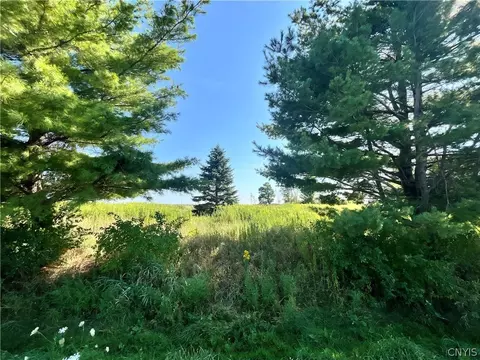 24458 Dano Rd, Theresa, NY 13691