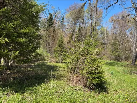 3960 Susquehannah St, Remsen, NY 13438