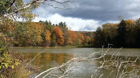 1720 County Route 12, Lincklaen, NY 13052