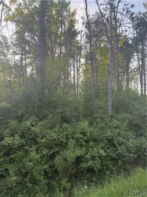 Miner Road, Sullivan, NY 13030