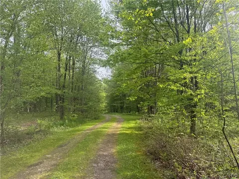 lot Lost Ridge Rd #9, Florence, NY 13316