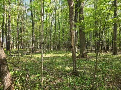 Pochuck Road, Eagle, NY 14024 photo 22