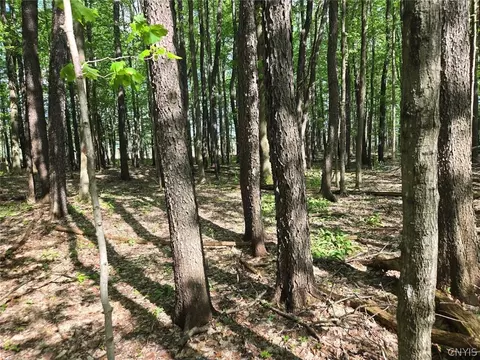 Pochuck Road, Eagle, NY 14024 photo 10