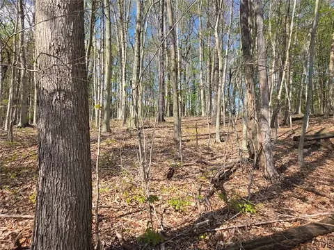 Pochuck Road, Eagle, NY 14024 photo 14