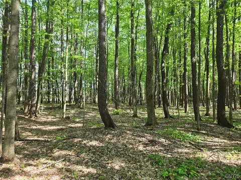 Pochuck Road, Eagle, NY 14024 photo 9