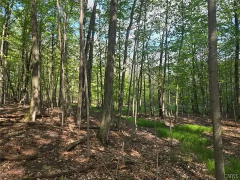 Pochuck Road, Eagle, NY 14024 photo 18