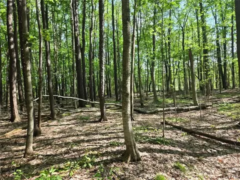Pochuck Road, Eagle, NY 14024 photo 23