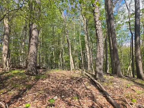 Pochuck Road, Eagle, NY 14024 photo 15