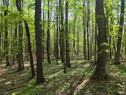 Pochuck Road, Eagle, NY 14024 photo 7