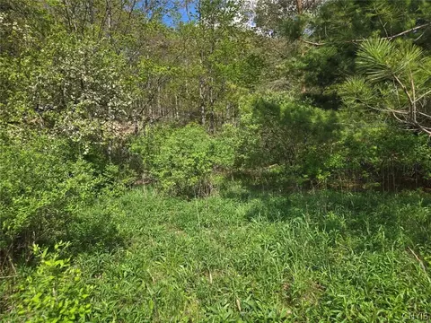 Pochuck Road, Eagle, NY 14024 photo 13