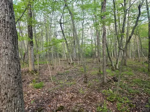 Pochuck Road, Eagle, NY 14024 photo 21