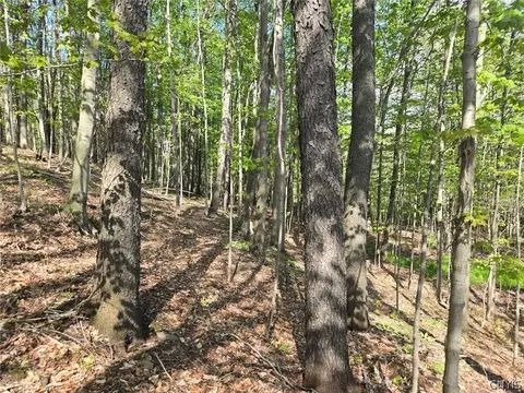 Pochuck Road, Eagle, NY 14024 photo 17