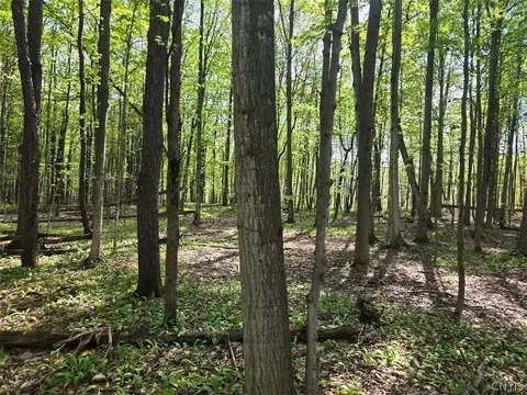 Pochuck Road, Eagle, NY 14024 photo 3