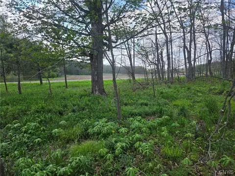 Pochuck Road, Eagle, NY 14024 photo 12