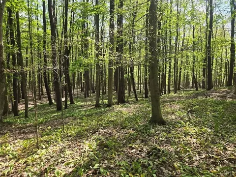 Pochuck Road, Eagle, NY 14024 photo 5