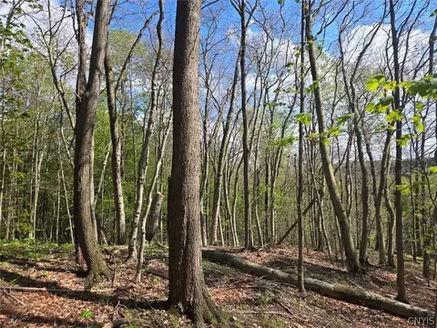 Pochuck Road, Eagle, NY 14024 photo 16