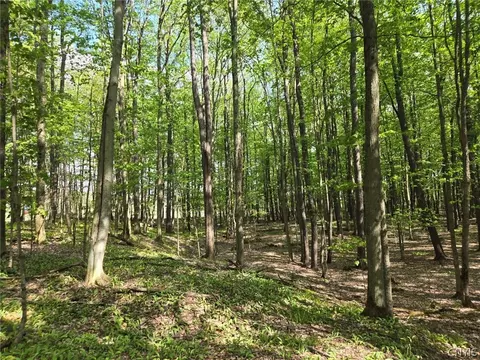 Pochuck Road, Eagle, NY 14024 photo 6
