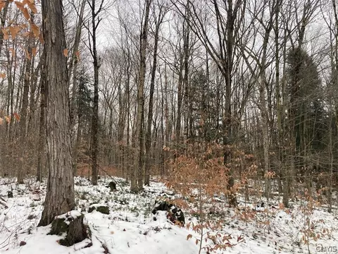 Rt 8, Ohio, NY 13324 photo 6