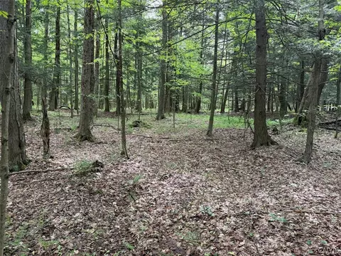 Kellogg Hill Road, Leon, NY 14138 photo 6