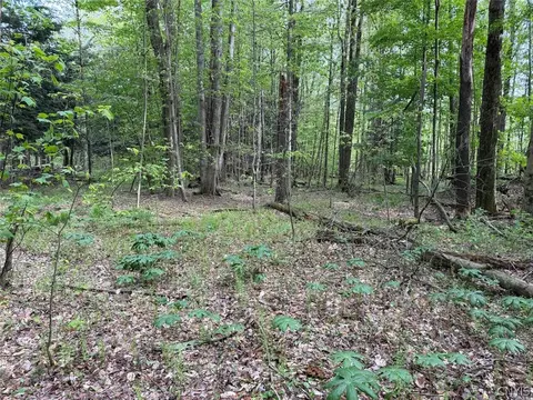 Kellogg Hill Road, Leon, NY 14138 photo 3