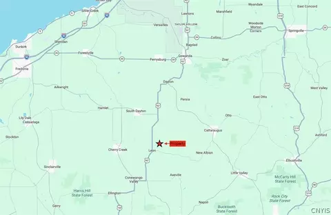 Kellogg Hill Road, Leon, NY 14138 photo 10