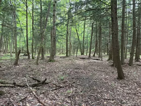 Kellogg Hill Road, Leon, NY 14138 photo 5
