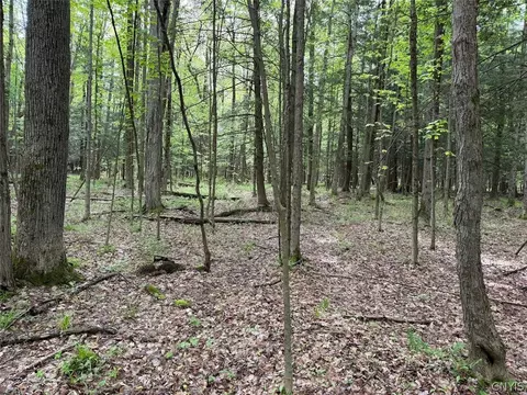 Kellogg Hill Road, Leon, NY 14138 photo 7