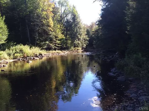 Rt-29, Salisbury, NY 13365