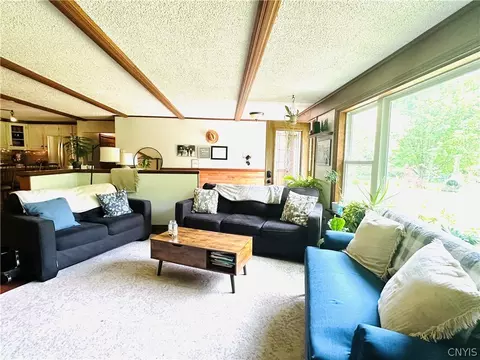 Living - 4232 Cherry St, Lyons Falls, NY 13368 photo 1 of 6