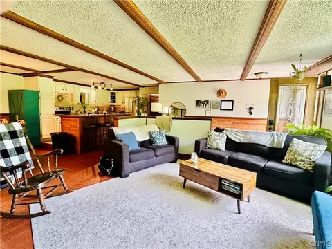 Living - 4232 Cherry St, Lyons Falls, NY 13368 photo 6 of 6