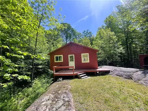 12860 Aldrich Settlement Rd, Diana, NY 13665