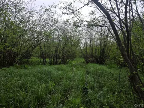 Hermitage Road, Wethersfield, NY 14569 photo 21