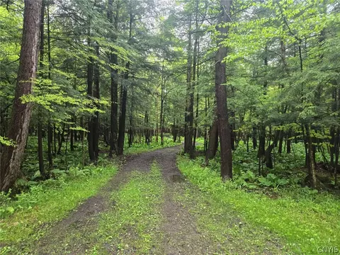 Hermitage Road, Wethersfield, NY 14569 photo 8