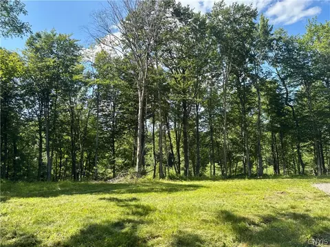 Olin Road, Montague, NY 13367